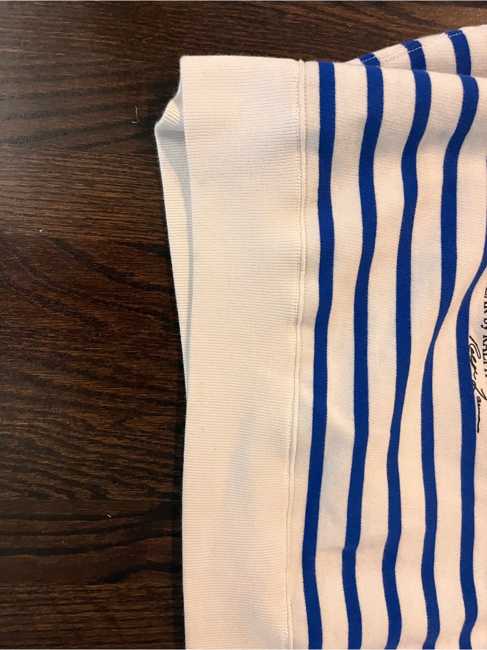 Ralph Lauren Blue & White Striped women’s preppy Sweatshirt with Bear Graphic - Picture 3 of 6